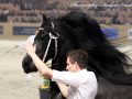 IMG_9658-Alwin-469