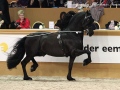 IMG_1600-Anders-451