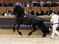 IMG_1712-Anders-451