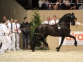IMG_5496-Anders-451