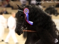IMG_5914-Anders-451