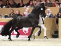 IMG_9198-Anders-451