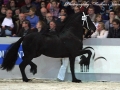 IMG_0124-Andries-415