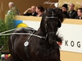 IMG_0185-Andries-415
