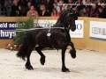 IMG_9451-Andries-415