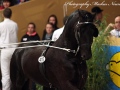IMG_9462-Andries-415