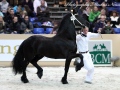 IMG_9693-Andries-415