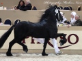 IMG_9699-Andries-415