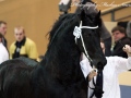 IMG_9714-Andries-415