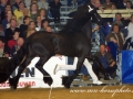img_3385-anton343