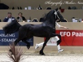 IMG_1396-Auwert-514