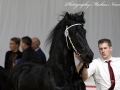 IMG_1422-Auwert-514
