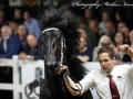 IMG_6070-Auwert-514