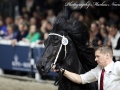 IMG_6116-Auwert-514