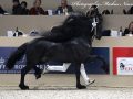 IMG_2514-Bartele-472