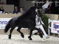 IMG_2527-Bartele-472