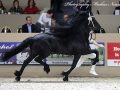 IMG_2566-Bartele-472