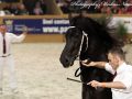 IMG_2771-Bartele-472