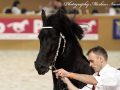 IMG_2790-Bartele-472