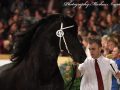 IMG_2942-Bartele-472
