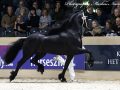 IMG_3987-Bartele-472