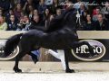 IMG_3992-Bartele-472