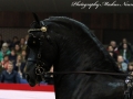 IMG_6699-Bartele-472