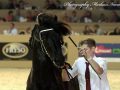 IMG_8005-Bartele-472