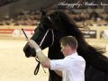 IMG_8006-Bartele-472