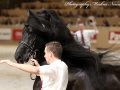 IMG_9408-Bartele-472