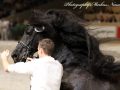 IMG_9409-Bartele-472