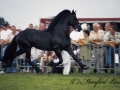 43-bearend347