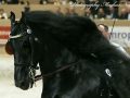 IMG_0492-Beart-411