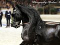 IMG_0496-Beart-411
