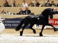 IMG_0518-Beart-411