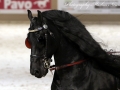 IMG_0559-Beart-411