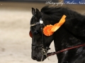 IMG_0955-Beart-411