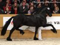 IMG_3142-Beart-411