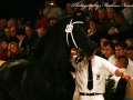 IMG_8053-Beart-411
