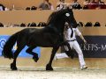 IMG_8179-Beart-411