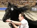 IMG_8205-Beart-411