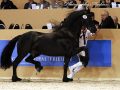 IMG_8220-Beart-411