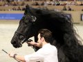 IMG_8240-Beart-411