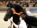 IMG_8605-Beart-411
