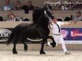 IMG_5832-Bente-412