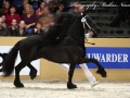 IMG_7328-Bente-412
