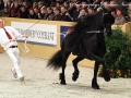 IMG_9475-Bente-412