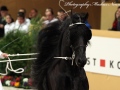 IMG_9477-Bente-412