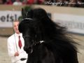 IMG_9584-Bente-412