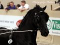 IMG_9611-Bente-412
